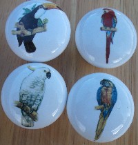 CERAMIC CABINET KNOB PARROT  MACAW EXOTIC BIRD tropical