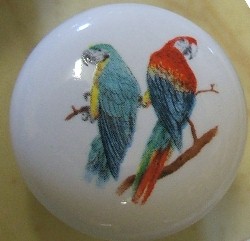 CERAMIC CABINET KNOB PARROT 