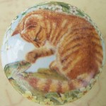 CERAMIC CABINET KNOB pulls CATS KITTEN TABBY CALICO 