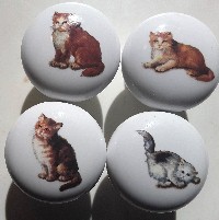 Cabinet knobs 4 Kittens