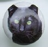 CERAMIC CABINET KNOB pulls CATS KITTEN BLACK