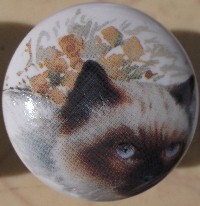 CERAMIC CABINET KNOB pulls CATS KITTEN HIMILAYAN 