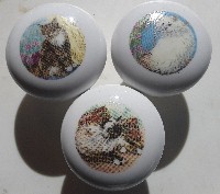 Cabinet knobs Tabby persian