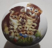 Cabinet knob pulls Cute Kittens cat