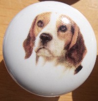 cabinet knob beagle
