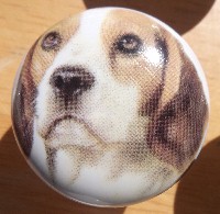 cabinet knob beagle