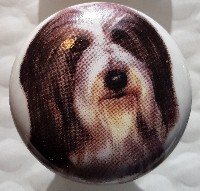 cabinet knob bearded collie