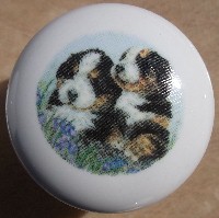 cabinet knob bernese mountain dog