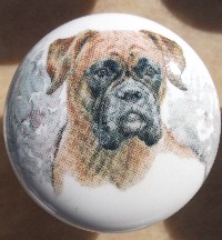 Cabinet Knob Boxer Uncropped
