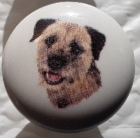 cabinet knob border terrier