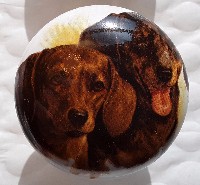 cabinet knob dachshunds