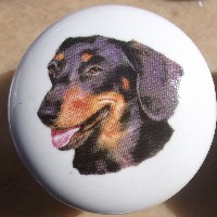 cabinet knob dachshunds black