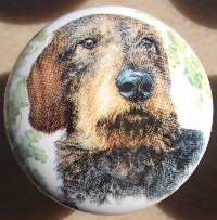 cabinet knob dachshunds wire haired