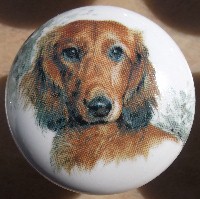 cabinet knob dachshunds long haired