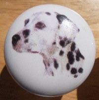 cabinet knob dalmation