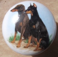 cabinet knob doberman pincer