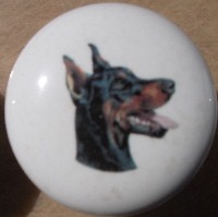 cabinet knob doberman pincer