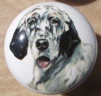 cabinet knob english setter