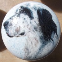 cabinet knob english setter