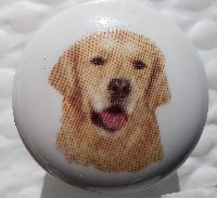 cabinet knob golden retriever