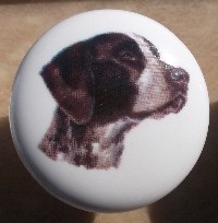 ceramic cabinet knob german shorthair pointer