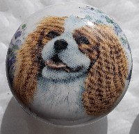 ceramic cabinet knob king charles spaniel