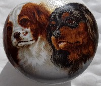 ceramic cabinet knob king charles spaniel