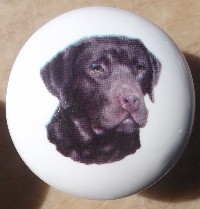ceramic cabinet knob chocolate labrador retiever