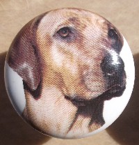 ceramic cabinet knob rhodesian ridgeback