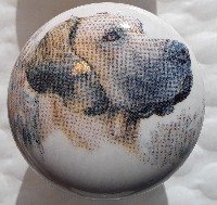 eramic cabinet knob great dane