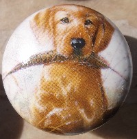 ceramic cabinet knob yellow labrador retiever