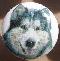 ceramic cabinet knob malamute