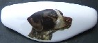 Drawer Pull German Shorthair Pointer