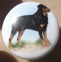 ceramic cabinet knob rottweiler rottwieler