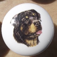 ceramic cabinet knob rottweiler rottwieler