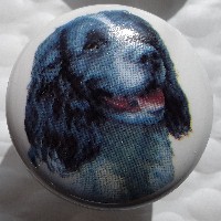 ceramic cabinet knob springer spaniel
