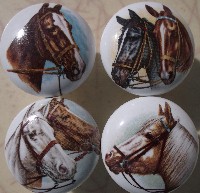 CERAMIC CABINET KNOBS KNOB HORSE CLYDESDALE QUARTER DRAFT