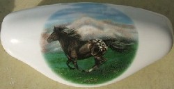 CERAMIC CABINET KNOBS KNOB DRAWER PULL HORSE  BLANKET APPALOOSA