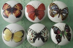 Cabinet Knob Butterflys butterflies