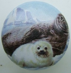 CERAMIC CABINET KNOB Elephant seal harpy available at mariansceramics.com