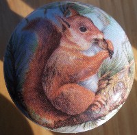 CERAMIC CABINET KNOB KNOBS  WILDLIFE SQUIRRELS SQUIRREL